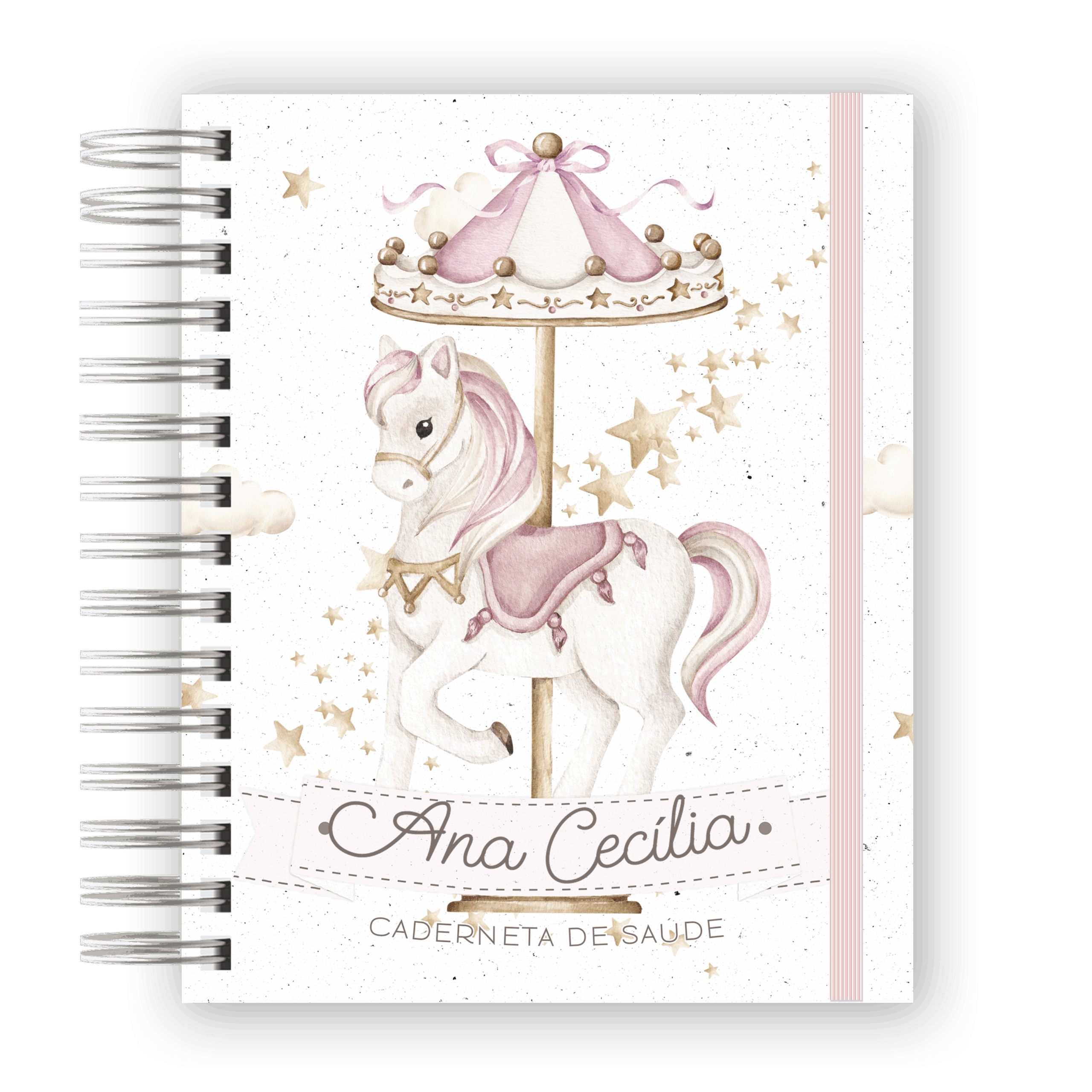 CADERNETA DE SAÚDE - CARROSEL