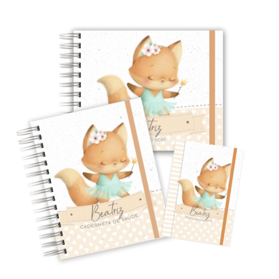 KIT MATERNIDADE AFETIVA - RAPOSINHA