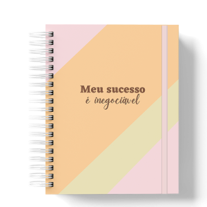 AGENDA- MEU SUCESSO