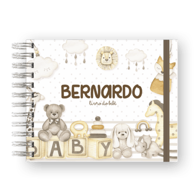 LIVRO DO BEBÊ - BRINQUEDOS