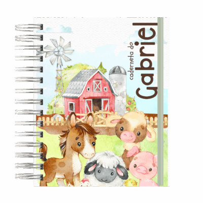 CADERNETA DE SAÚDE - FAZENDINHA