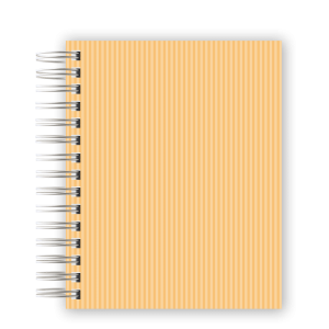 CADERNO PERSONALIZADO - LISTRA LARANJA