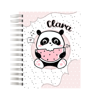 AGENDA ESCOLAR - PANDINHA