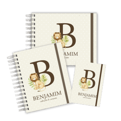 KIT MATERNIDADE AFETIVA - ALFABETO SAFARI