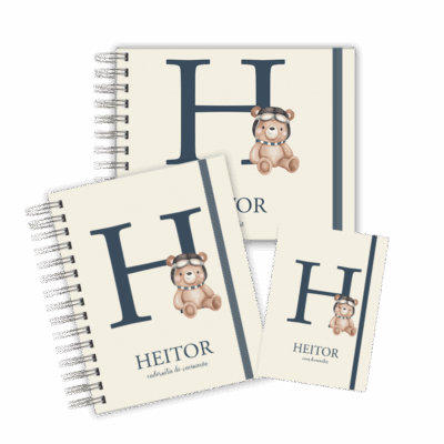 KIT MATERNIDADE AFETIVA - ALFABETO URSINHO AVIADOR