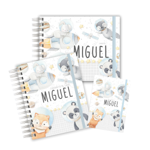 KIT MATERNIDADE AFETIVA - ASTRONAUTA ANIMAIS