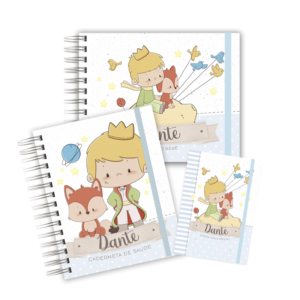 KIT MATERNIDADE AFETIVA - PEQUENO PRÍNCIPE BABY