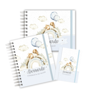 KIT MATERNIDADE AFETIVA - COELHINHO BABY BOY