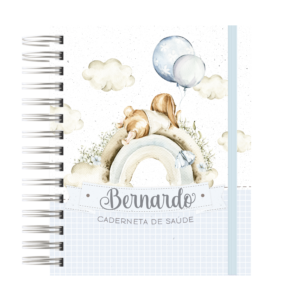 CADERNETA DE SAÚDE - COELHINHO BABY BOY