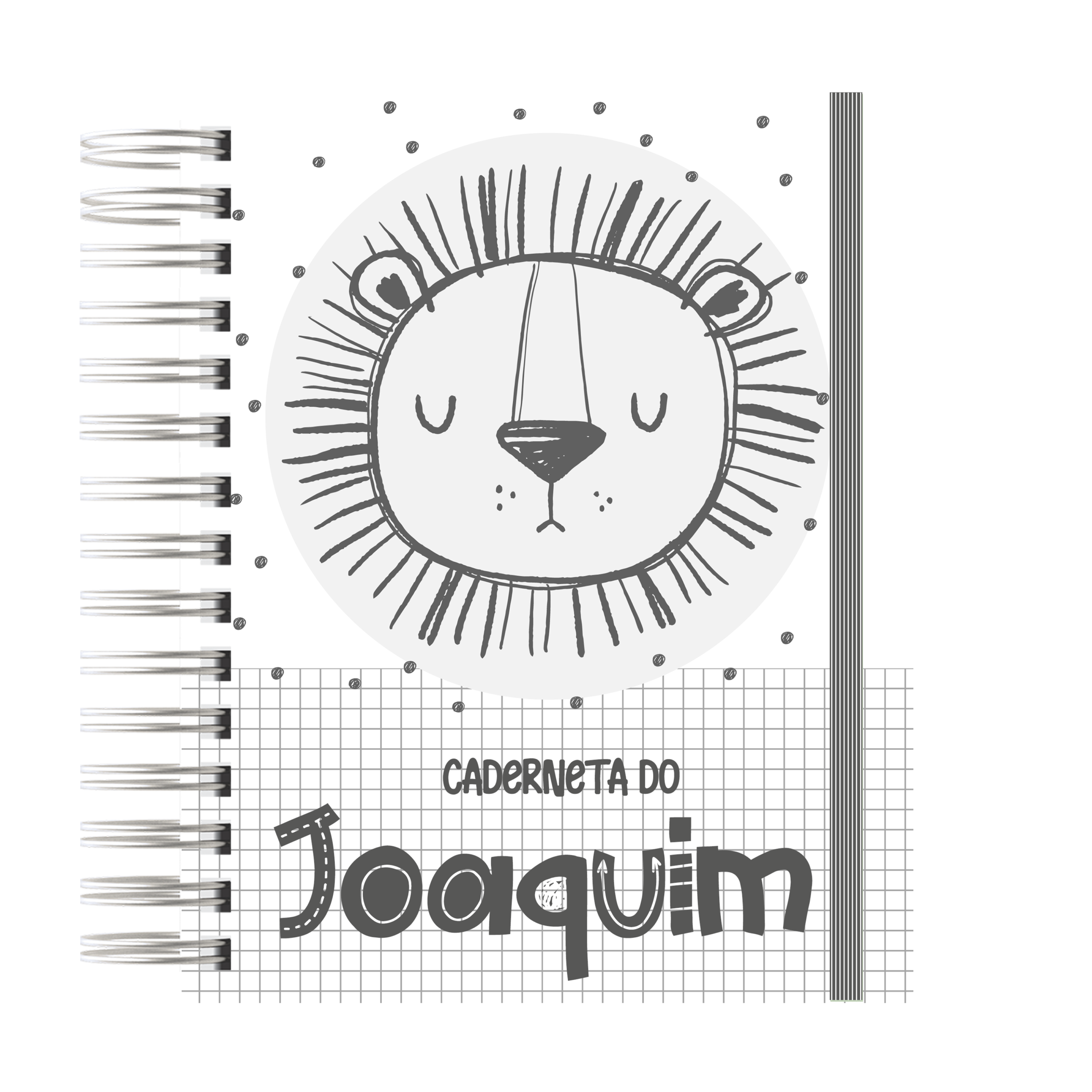 CADERNETA DE SAÚDE - LEÃO