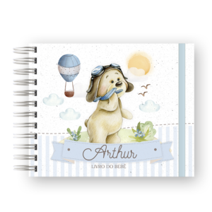 LIVRO DO BEBÊ - URSINHO AVIADOR CUTE