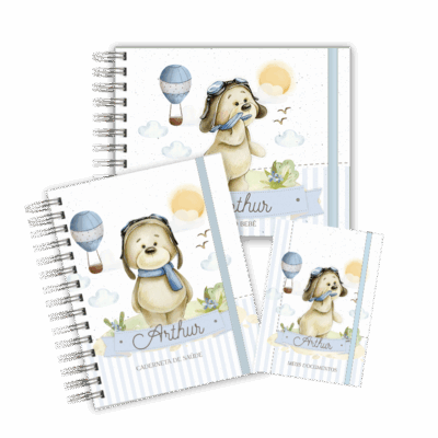 KIT MATERNIDADE MEMÓRIAS - URSINHO AVIADOR CUTE