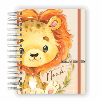 CADERNETA DE SAÚDE - LEÃOZINHO