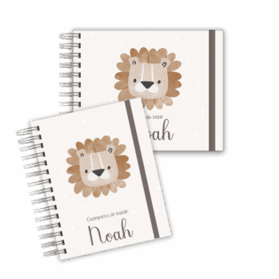KIT BABY - LEÃO NOAH
