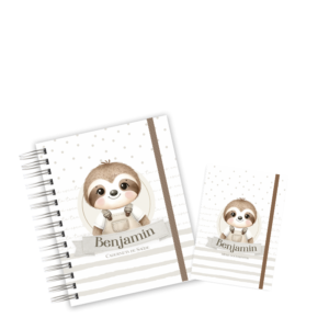 CADERNETA + PORTA DOCUMENTOS - PREGUICINHA BABY