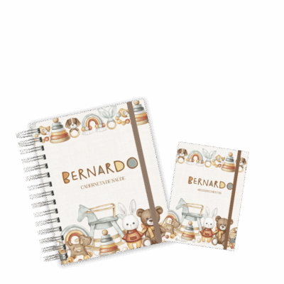 CADERNETA + PORTA DOCUMENTOS - BRINQUEDOS BOHO