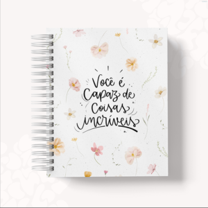 AGENDA  - VOCÊ É CAPAZ 2
